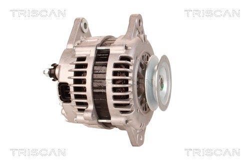 Alternateur Triscan A/S 8310 10019