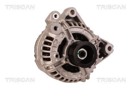 Alternateur Triscan A/S 8310 10020
