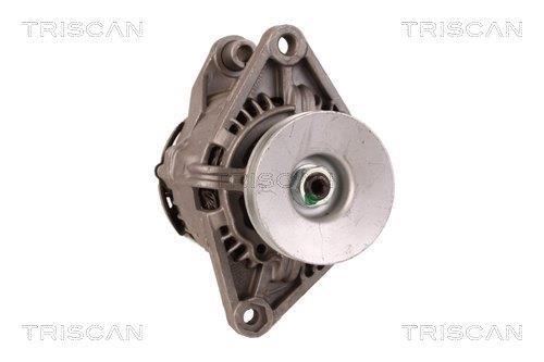Alternateur Triscan A/S 8310 10022