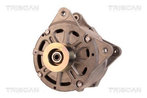 Alternateur Triscan A/S 8310 10040