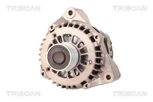 Alternateur Triscan A/S 8310 10043