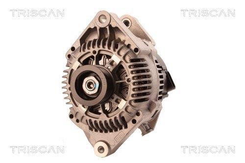 Alternateur Triscan A/S 8310 10061