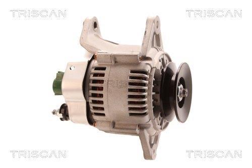 Alternateur Triscan A/S 8310 10067