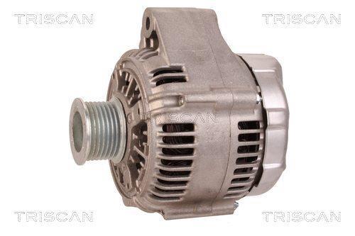 Alternateur Triscan A/S ref. 8310 10073