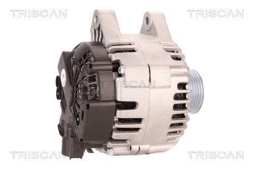 Alternador Triscan A/S 8310 10079