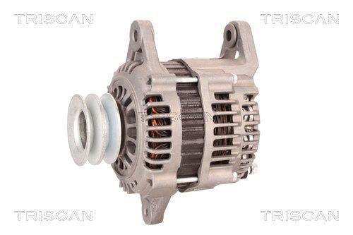Alternateur Triscan A/S 8310 10080