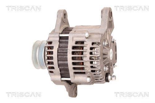 Alternateur Triscan A/S 8310 10080