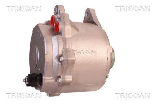 Alternateur Triscan A/S 8310 10087
