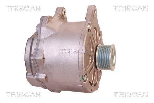 Alternateur Triscan A/S 8310 10087