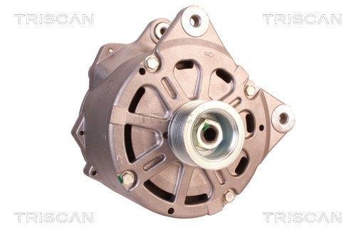 Alternateur Triscan A/S 8310 10087
