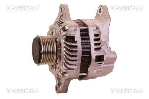Alternateur Triscan A/S 8310 10090
