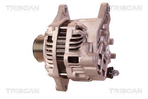 Alternateur Triscan A/S 8310 10090