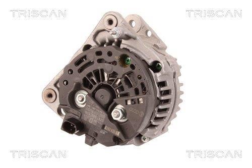 Alternateur Triscan A/S 8310 10093