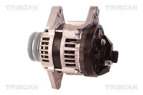Alternateur Triscan A/S 8310 10095