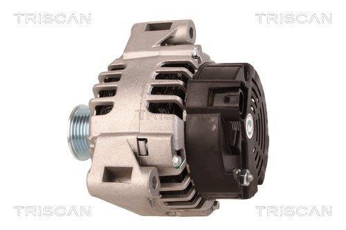 Alternateur Triscan A/S 8310 10096