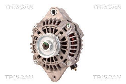 Alternateur Triscan A/S 8310 10100