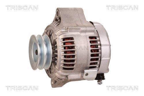 Alternateur Triscan A/S 8310 10101