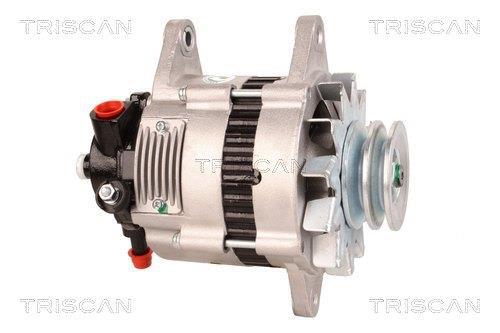 Alternateur Triscan A/S 8310 10102