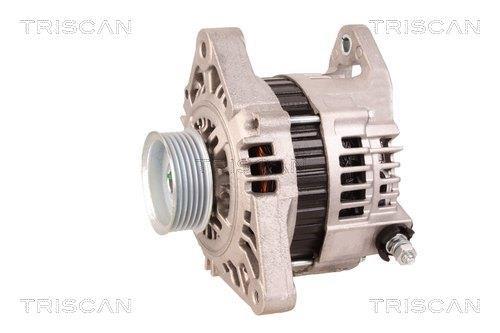 Alternateur Triscan A/S 8310 10102