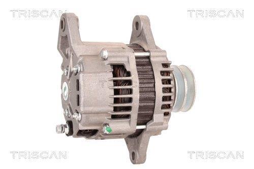 Alternateur Triscan A/S 8310 10116
