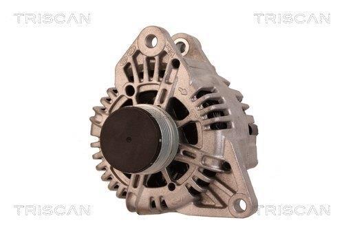Alternateur Triscan A/S 8310 10130