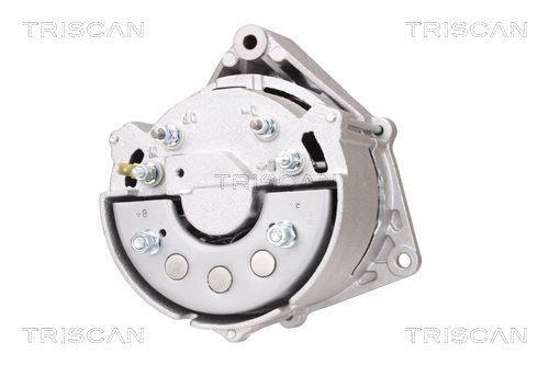 Alternateur Triscan A/S 8310 10133