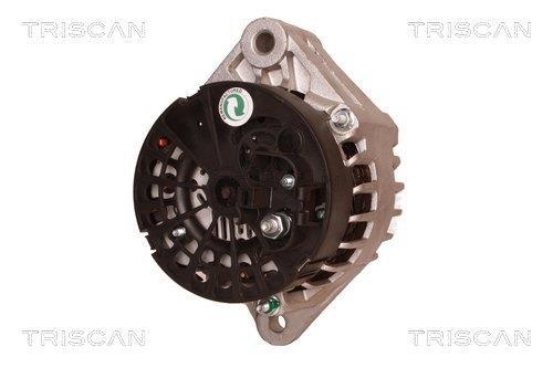 Alternateur Triscan A/S 8310 10134