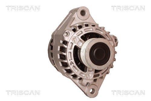 Alternateur Triscan A/S 8310 10134