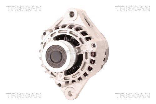 Alternateur Triscan A/S 8310 10134