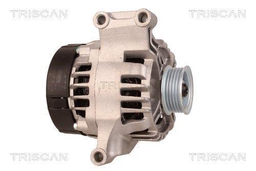 Alternateur Triscan A/S 8310 10137