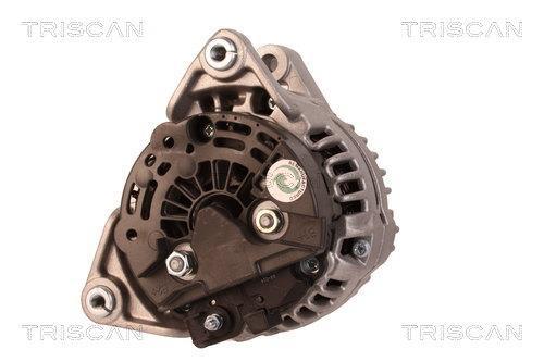 Alternateur Triscan A/S 8310 10138