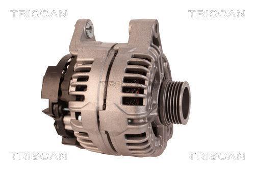 Alternateur Triscan A/S 8310 10138