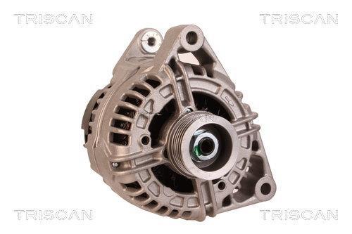 Alternateur Triscan A/S 8310 10138