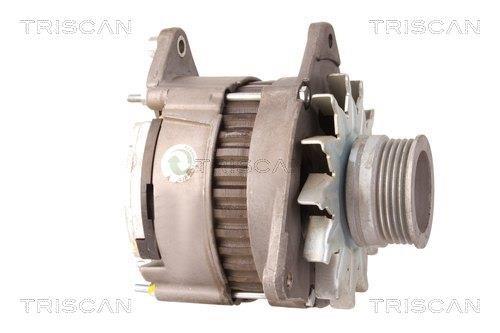 Alternateur Triscan A/S 8310 10139