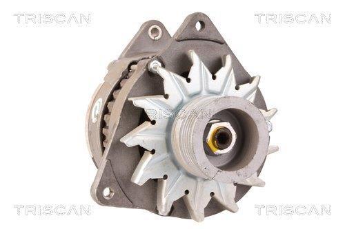 Alternateur Triscan A/S 8310 10139