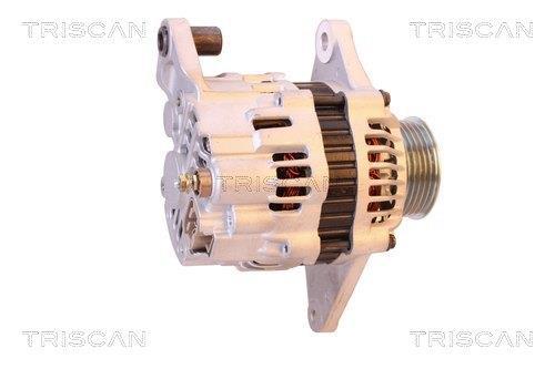 Alternateur Triscan A/S 8310 10141