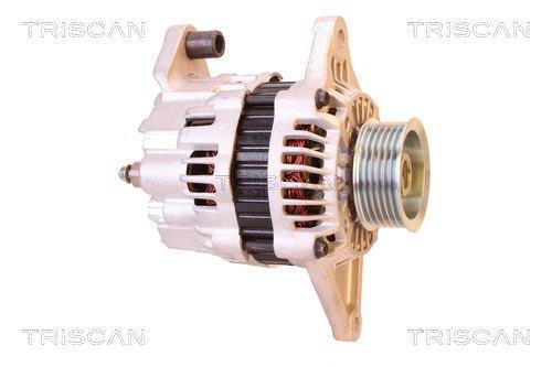 Alternateur Triscan A/S 8310 10141