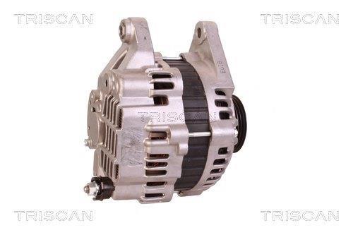 Alternateur Triscan A/S 8310 10143