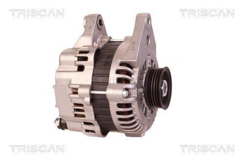 Alternateur Triscan A/S 8310 10143