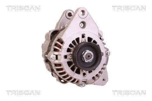 Alternateur Triscan A/S 8310 10143