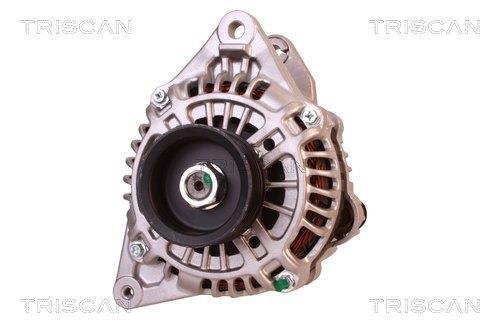 Alternateur Triscan A/S 8310 10143