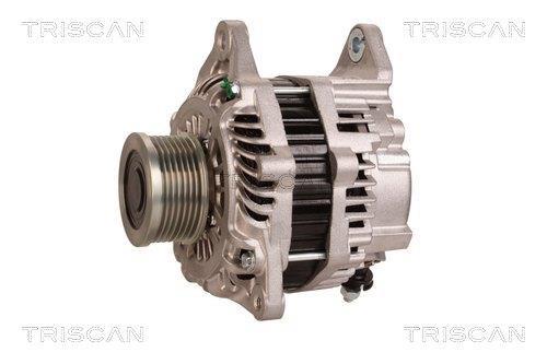 Alternateur Triscan A/S 8310 10161