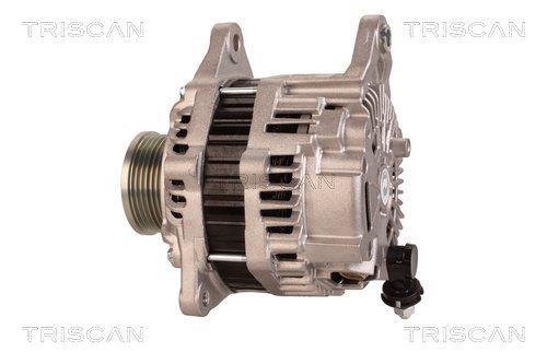 Alternateur Triscan A/S 8310 10161