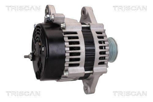 Alternateur Triscan A/S ref. 8310 10162