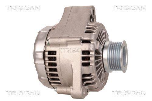 Alternateur Triscan A/S 8310 10163