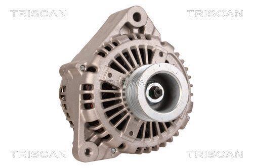 Alternateur Triscan A/S 8310 10163