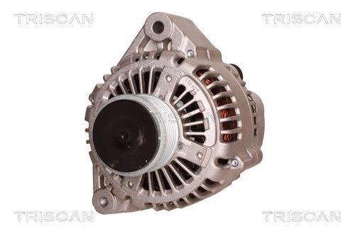 Alternateur Triscan A/S 8310 10163