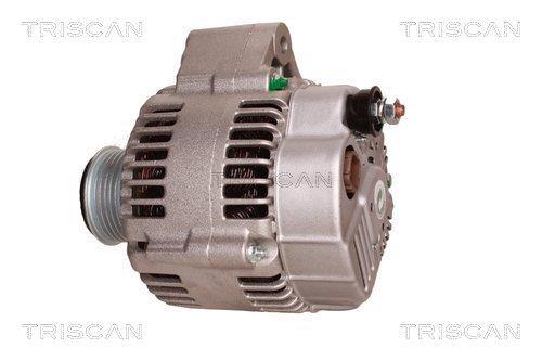 Alternateur Triscan A/S 8310 10163