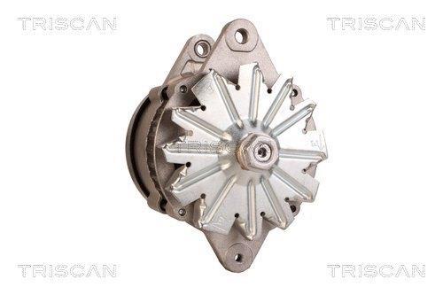 Alternador Triscan A/S ref. 8310 10167