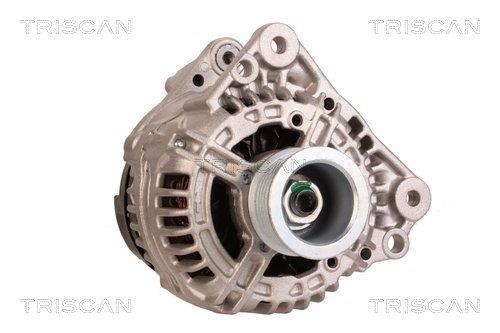 Alternateur Triscan A/S 8310 10169